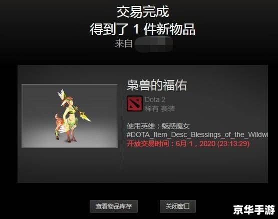 DOTA2饰品交易：探索虚拟市场的独特魅力