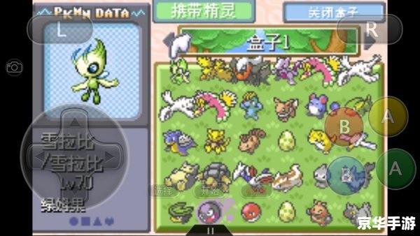 口袋妖怪白金神兽：探寻神秘宝可梦的世界