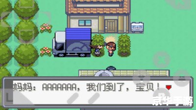 口袋妖怪绿宝石代码分析 口袋妖怪绿宝石代码分析