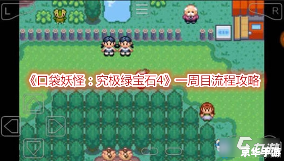 口袋妖怪绿宝石代码分析 口袋妖怪绿宝石代码分析