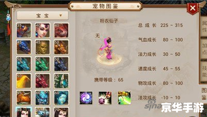 问道粉装备:打造最强战斗力的神器 问道粉装备:打造最强战斗力的神器