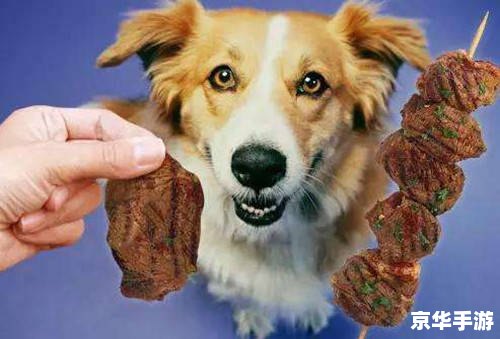 狗和骨头攻略:让您的爱犬尽享美食与欢乐 狗和骨头攻略:让您的爱犬尽享美食与欢乐