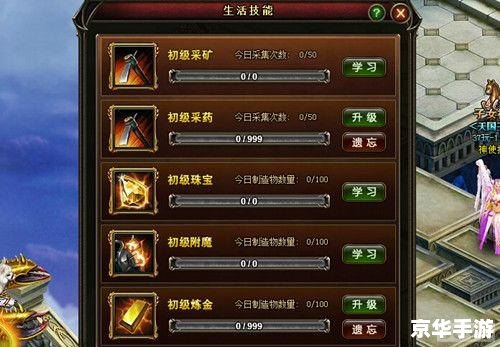 彩虹岛转职证书:开启职业新篇章 彩虹岛转职证书:开启职业新篇章