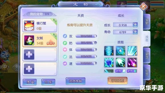 DNF宠物憨憨牛:可爱的游戏伙伴 DNF宠物憨憨牛:可爱的游戏伙伴
