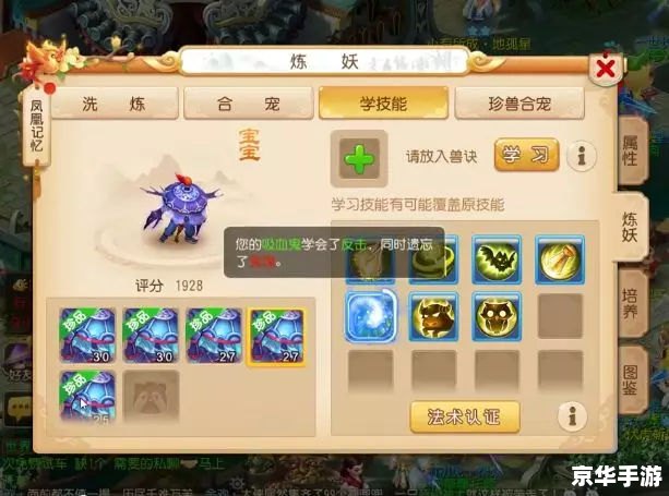 # 梦幻西游炼兽珍经：提升宠物实力的必经之路