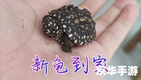 赛尔号迈尔斯技能分析 赛尔号迈尔斯技能分析