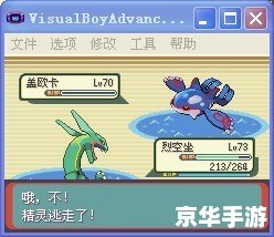 口袋妖怪白金手指:探索神奇世界的金手指 口袋妖怪白金手指:探索神奇世界的金手指
