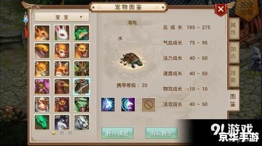 探索《问道天书》的奥秘 探索《问道天书》的奥秘