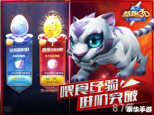天天酷跑哪个宠物最好? 天天酷跑哪个宠物最好?