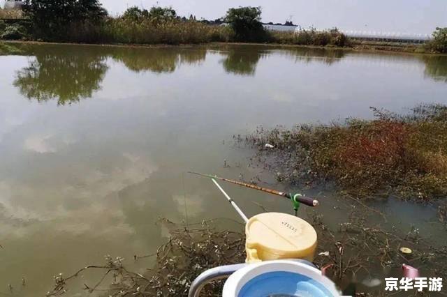 梦幻钓鱼：沉浸于海洋世界的垂钓乐趣