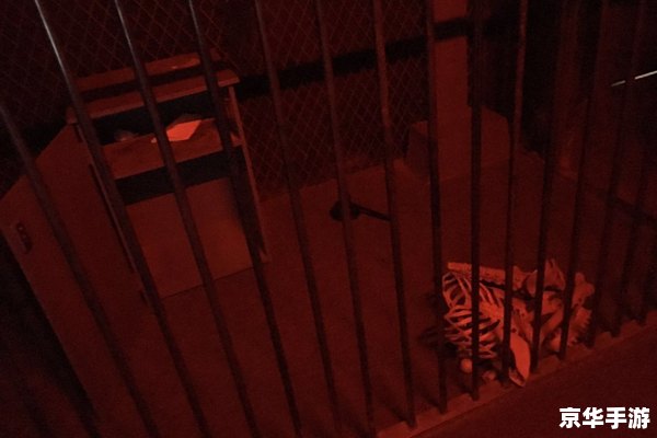 密室逃脱中文版:挑战你的智慧与勇气 密室逃脱中文版:挑战你的智慧与勇气