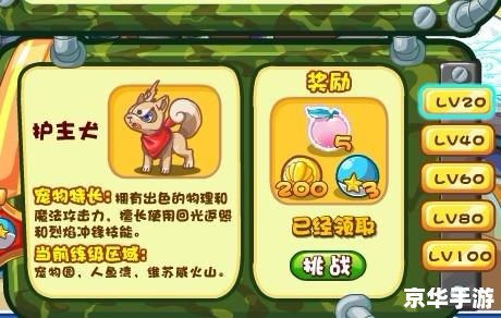 洛克王国服装代码大全