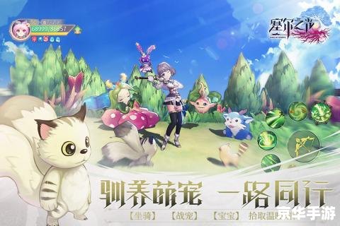 洛克王国格斗小八 洛克王国：格斗小八的冒险之旅