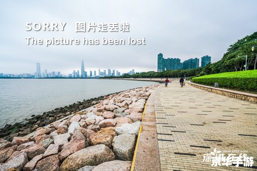 网游充值平台:打造最佳游戏体验 网游充值平台:打造最佳游戏体验