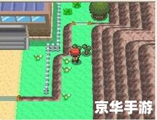 宠物小精灵珍珠攻略 宠物小精灵珍珠:攻略与探险之旅 宠物小精灵珍珠攻略 宠物小精灵珍珠:攻略与探险之旅