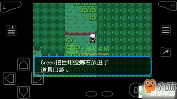 口袋妖怪蓝宝石金手指代码