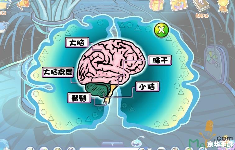 洛克王国小田田:探索神秘的海洋世界 洛克王国小田田:探索神秘的海洋世界