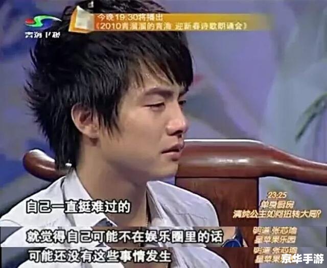 巨星成长计划攻略：打造娱乐圈的巅峰巨星