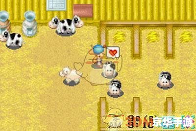 矿石镇的伙伴们攻略:探索神秘矿石世界 矿石镇的伙伴们攻略:探索神秘矿石世界