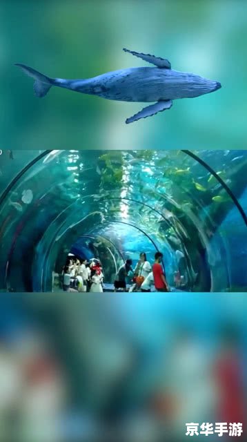 梦幻新宝宝：探索神秘的宠物世界