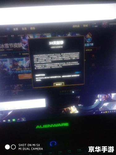 英雄联盟封号查询系统：快速了解封号情况