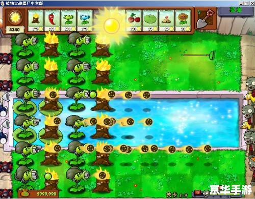 植物僵尸通用修改器:打造无敌战斗体验 植物僵尸通用修改器:打造无敌战斗体验