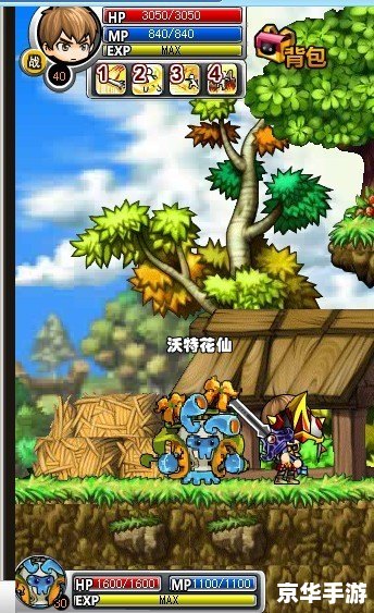冒险王之神兵传奇无敌版:探索无尽奇幻世界的勇者之旅 冒险王之神兵传奇无敌版:探索无尽奇幻世界的勇者之旅