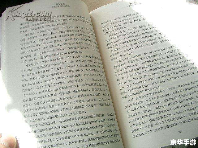 琵琶行副本歌词：探寻古代音乐之韵