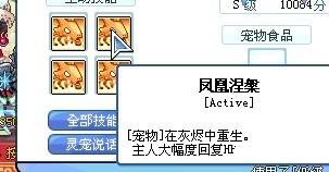 彩虹岛灵宠怎么升级 彩虹岛灵宠升级指南