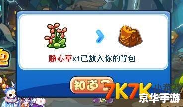 洛克王国霹雳龙：在雷电与火焰中寻找传奇之力