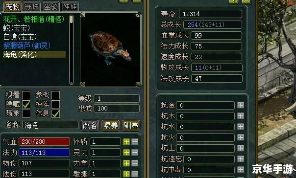 问道鉴定符:揭秘神秘的游戏道具 问道鉴定符:揭秘神秘的游戏道具