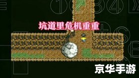 哆啦a梦之大雄的生化危机 哆啦A梦:大雄的生化危机 哆啦a梦之大雄的生化危机 哆啦A梦:大雄的生化危机