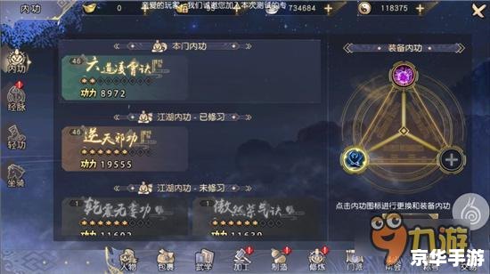 霸王阴功攻略 【霸王阴功】攻略：通关技巧与心得分享