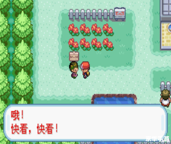 口袋妖怪叶绿386：探索无尽的精灵世界