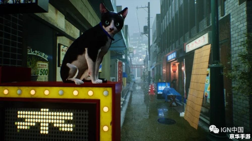 CF猫咪透视：游戏内作弊行为的探讨与抵制