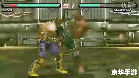 铁拳6 psp 铁拳6：PSP版