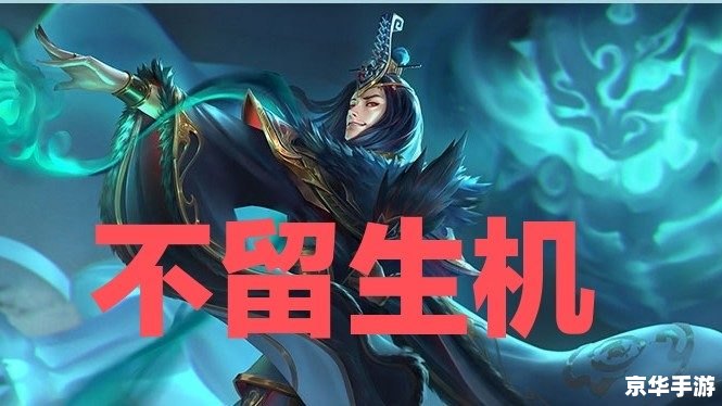 三国杀欢乐成双：双人协作，智胜战场
