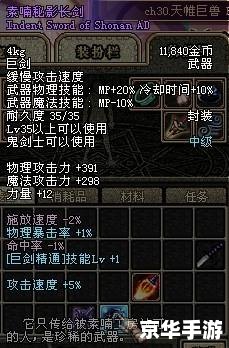 DNF素喃秘影长剑：勇者之路，剑指巅峰