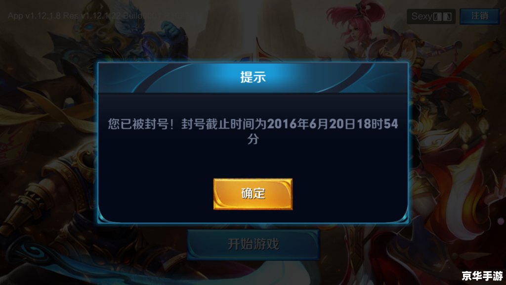 龙之谷封号查询：探究封号原因与解决方案