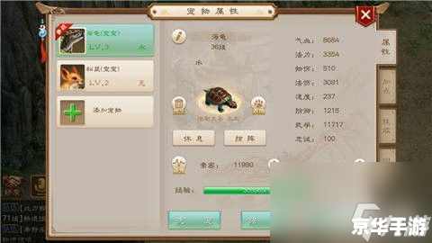 新飞飞宠物加点策略探讨
