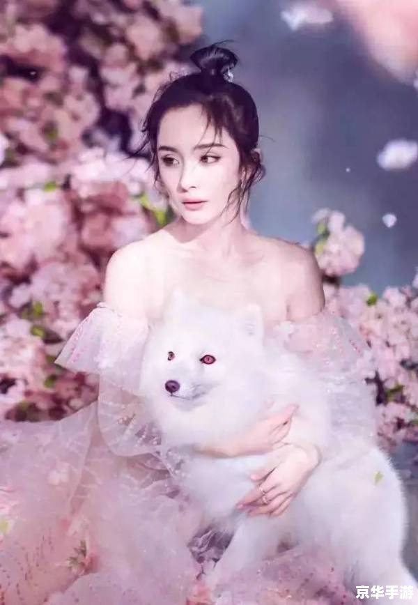 美女拯救攻略:拯救美女的方法与技巧 美女拯救攻略:拯救美女的方法与技巧