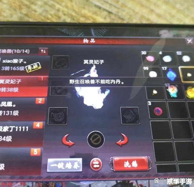 大话西游2脚本错误：游戏体验与问题解析
