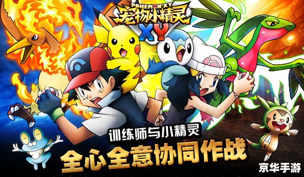 宠物小精灵XY图鉴： 探索精灵世界的全新篇章