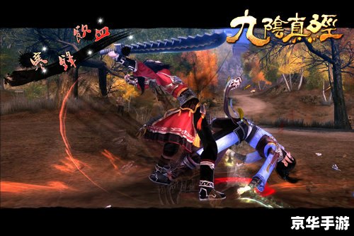【九阴真经锦衣卫技能】:武侠世界的无敌利刃 【九阴真经锦衣卫技能】:武侠世界的无敌利刃