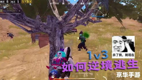 和平精英少羽：勇者无畏，战场称王
