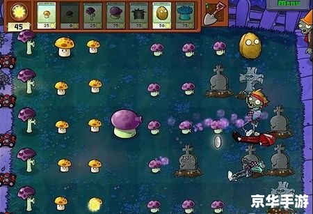 植物大战僵尸1:抵抗僵尸入侵的塔防经典 植物大战僵尸1:抵抗僵尸入侵的塔防经典