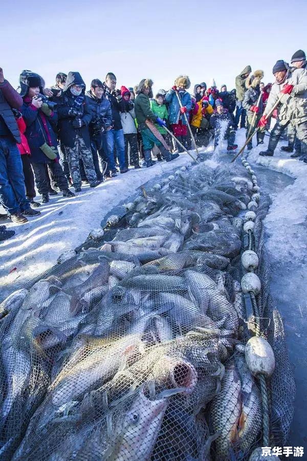 诺森德渔夫:冰雪世界的捕鱼冒险 诺森德渔夫:冰雪世界的捕鱼冒险