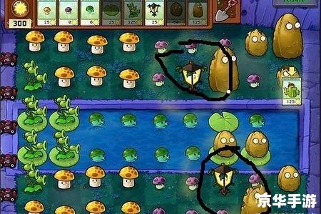 7k7k植物大战僵尸ol:僵尸与植物的激战 7k7k植物大战僵尸ol:僵尸与植物的激战
