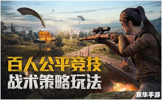 和平精英高手必备穿搭 和平精英高手必备穿搭