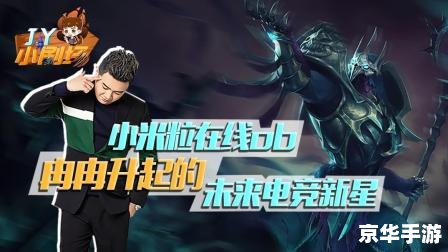 LOL达七:电竞新星闪耀赛场 LOL达七:电竞新星闪耀赛场